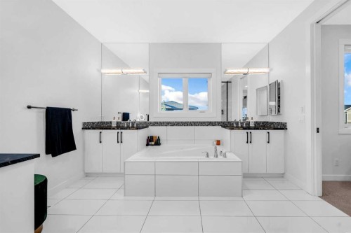 134 Corner Meadows Common Ne, Calgary, AB - Indoor Photo Showing Bathroom