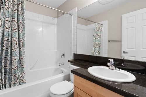 113-80 Dyrgas Gate, Canmore, AB - Indoor Photo Showing Bathroom