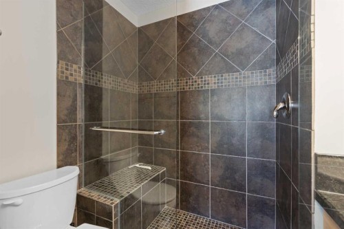 113-80 Dyrgas Gate, Canmore, AB - Indoor Photo Showing Bathroom