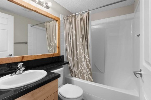 113-80 Dyrgas Gate, Canmore, AB - Indoor Photo Showing Bathroom