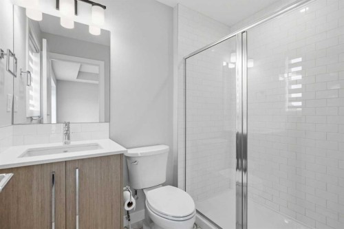592 Dawson Drive, Chestermere, AB - Indoor Photo Showing Bathroom