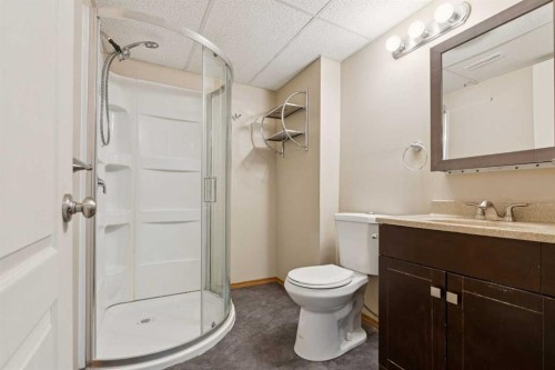 111 Luxstone Crescent Sw, Airdrie, AB - Indoor Photo Showing Bathroom