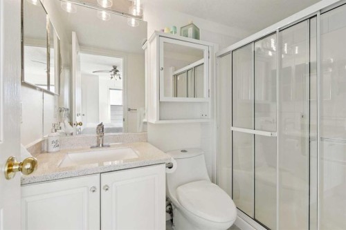 102-6102 Valleyview Park Se, Calgary, AB - Indoor Photo Showing Bathroom