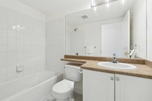 102-6102 Valleyview Park Se, Calgary, AB - Indoor Photo Showing Bathroom