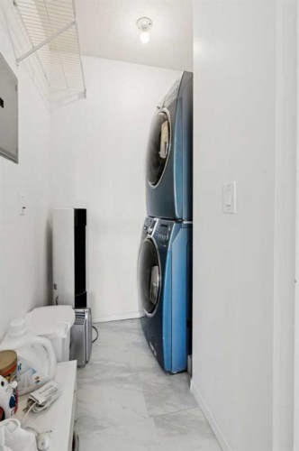102-6102 Valleyview Park Se, Calgary, AB - Indoor Photo Showing Laundry Room