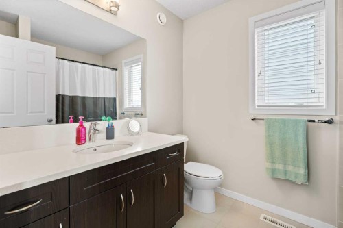 53 Amery Crescent, Crossfield, AB - Indoor Photo Showing Bathroom