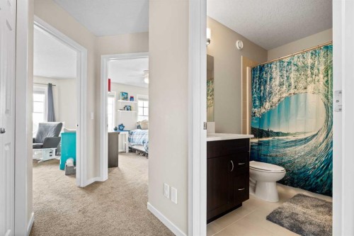 53 Amery Crescent, Crossfield, AB - Indoor Photo Showing Bathroom
