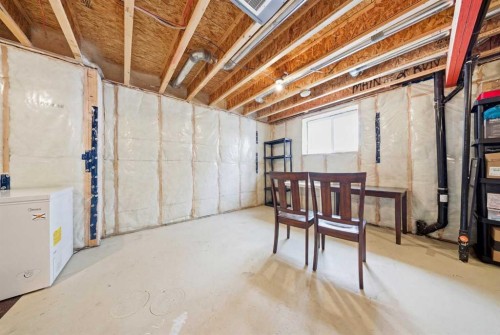 53 Amery Crescent, Crossfield, AB - Indoor Photo Showing Basement