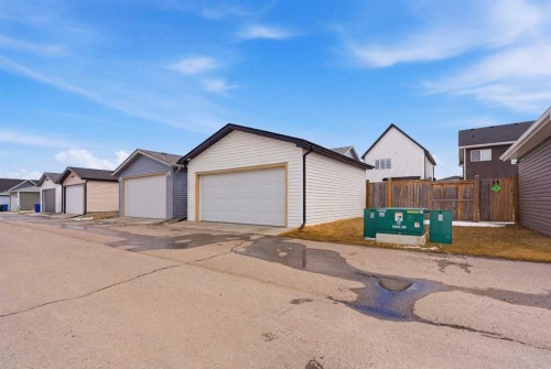 53 Amery Crescent, Crossfield, AB - Outdoor