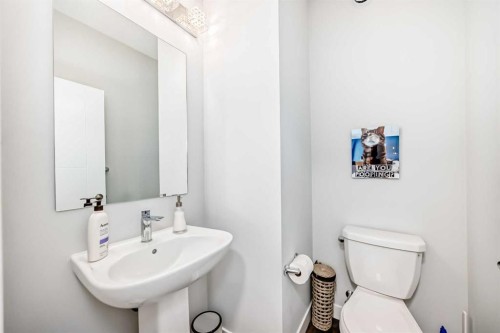 172 Rowmont Boulevard Nw, Calgary, AB - Indoor Photo Showing Bathroom