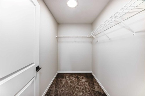 1069 Sawgrass Link Nw, Airdrie, AB - Indoor With Storage