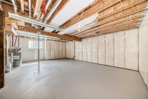 1069 Sawgrass Link Nw, Airdrie, AB - Indoor Photo Showing Basement