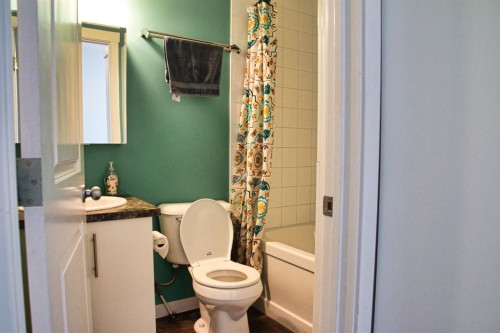 112-1740 9 Street Nw, Calgary, AB - Indoor Photo Showing Bathroom