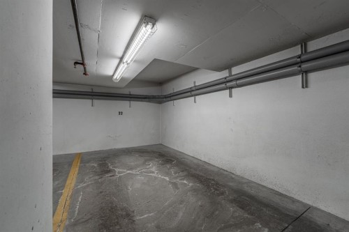 112-1740 9 Street Nw, Calgary, AB - Indoor Photo Showing Garage