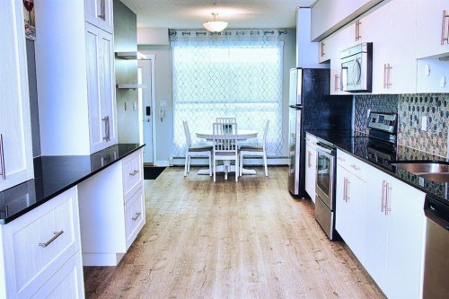 112-1740 9 Street Nw, Calgary, AB - Indoor Photo Showing Kitchen With Double Sink