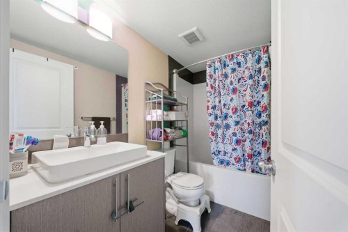 7415-302 Skyview Ranch Drive Ne, Calgary, AB - Indoor Photo Showing Bathroom