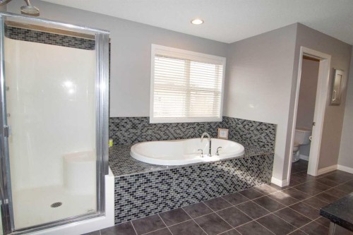 119 Auburn Bay Avenue Se, Calgary, AB - Indoor Photo Showing Bathroom