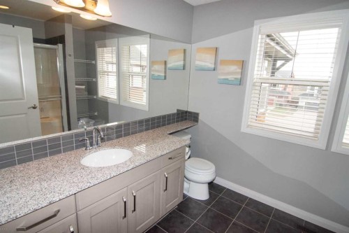 119 Auburn Bay Avenue Se, Calgary, AB - Indoor Photo Showing Bathroom