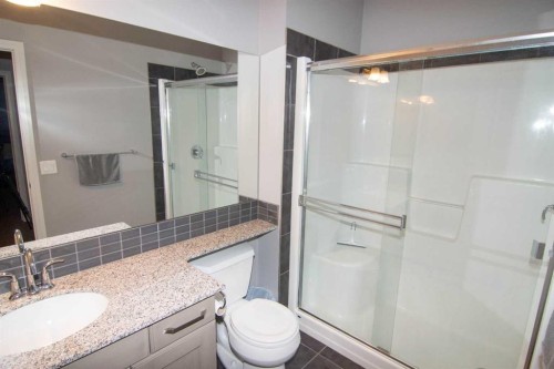 119 Auburn Bay Avenue Se, Calgary, AB - Indoor Photo Showing Bathroom