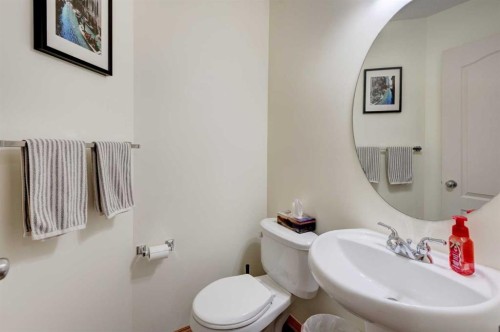 41 Chapman Close Se, Calgary, AB - Indoor Photo Showing Bathroom