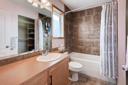 41 Chapman Close Se, Calgary, AB - Indoor Photo Showing Bathroom
