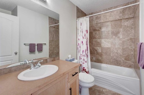 41 Chapman Close Se, Calgary, AB - Indoor Photo Showing Bathroom