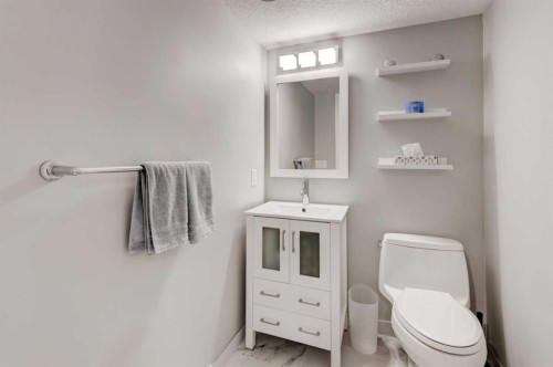 41 Chapman Close Se, Calgary, AB - Indoor Photo Showing Bathroom