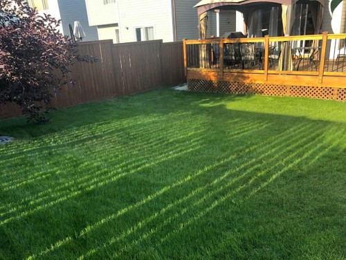 41 Chapman Close Se, Calgary, AB - Outdoor With Deck Patio Veranda