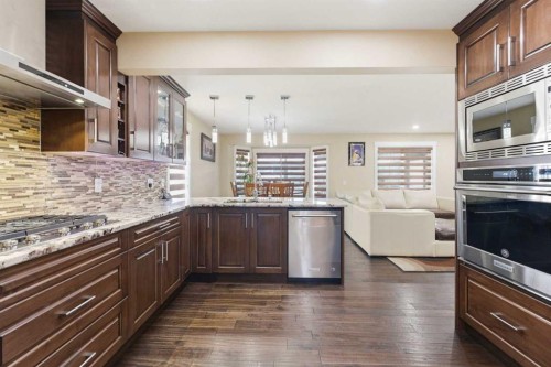 171 Coral Springs Park Ne, Calgary, AB - Indoor Photo Showing Kitchen With Upgraded Kitchen