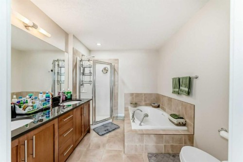 210-1005A Westmount Drive, Strathmore, AB - Indoor Photo Showing Bathroom
