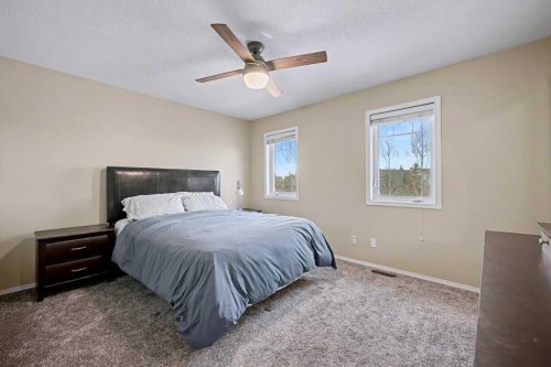 19 Copperfield Crescent Se, Calgary, AB 