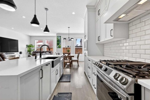 41 Copperhead Road Se, Calgary, AB - Indoor Photo Showing Kitchen With Double Sink With Upgraded Kitchen