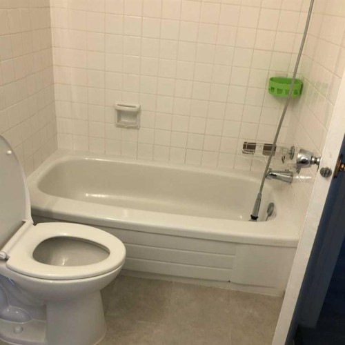 22 Whitman Close Ne, Calgary, AB - Indoor Photo Showing Bathroom