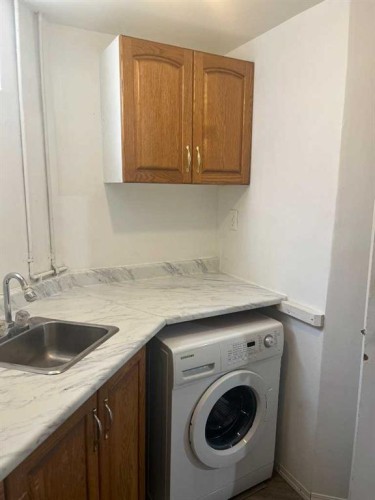 22 Whitman Close Ne, Calgary, AB - Indoor Photo Showing Laundry Room