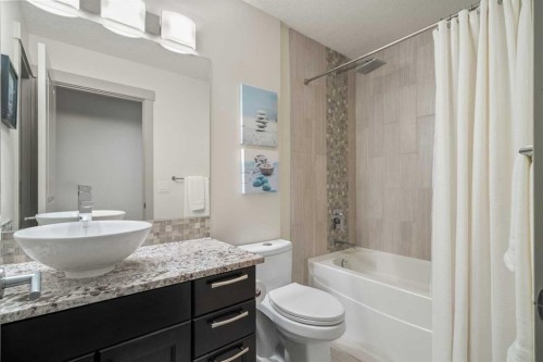 127 Lake Placid Close Se, Calgary, AB - Indoor Photo Showing Bathroom
