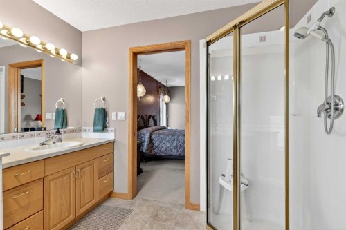 328 Parkview Estates, Strathmore, AB - Indoor Photo Showing Bathroom