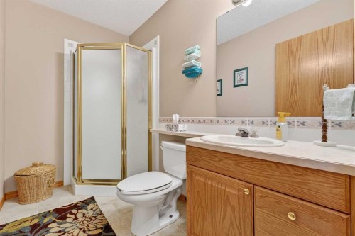 328 Parkview Estates, Strathmore, AB - Indoor Photo Showing Bathroom