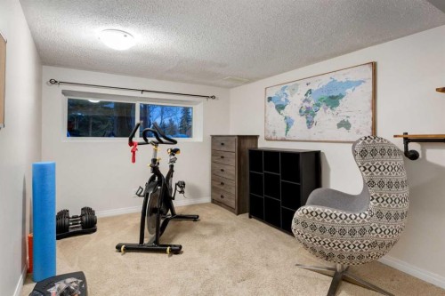 4 Cedarbrook Way Sw, Calgary, AB - Indoor Photo Showing Gym Room