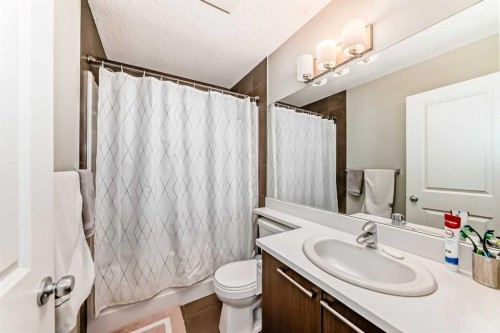 55-300 Marina Drive, Chestermere, AB - Indoor Photo Showing Bathroom