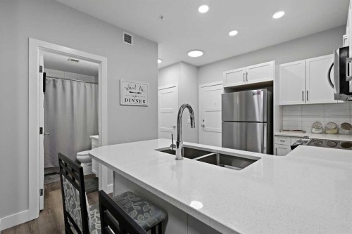 105-8355 19 Avenue Sw, Calgary, AB - Indoor Photo Showing Kitchen With Stainless Steel Kitchen With Double Sink With Upgraded Kitchen