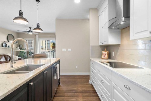 211-20 Seton Park Se, Calgary, AB - Indoor Photo Showing Kitchen With Double Sink