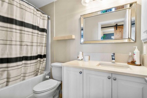 211-20 Seton Park Se, Calgary, AB - Indoor Photo Showing Bathroom