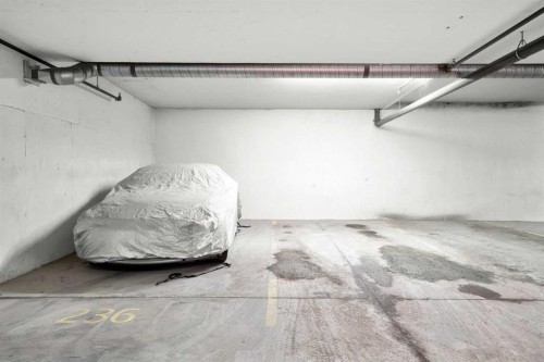 211-20 Seton Park Se, Calgary, AB - Indoor Photo Showing Garage