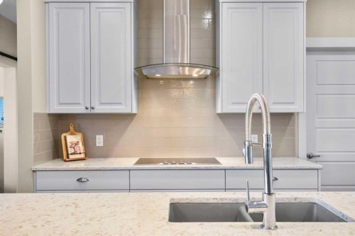 211-20 Seton Park Se, Calgary, AB - Indoor Photo Showing Kitchen With Double Sink