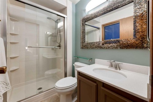 8 Deerwood Road Se, Calgary, AB - Indoor Photo Showing Bathroom