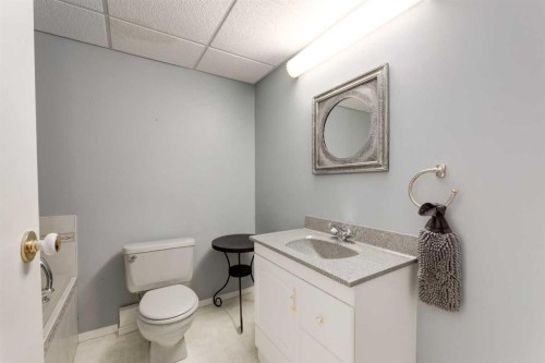 8 Deerwood Road Se, Calgary, AB - Indoor Photo Showing Bathroom