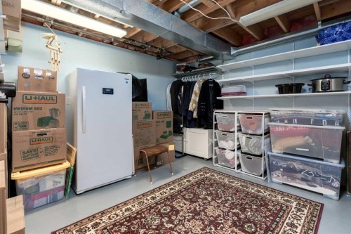 8 Deerwood Road Se, Calgary, AB - Indoor Photo Showing Basement