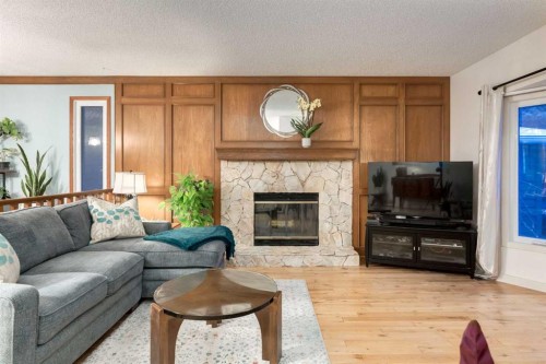 8 Deerwood Road Se, Calgary, AB - Indoor Photo Showing Living Room With Fireplace