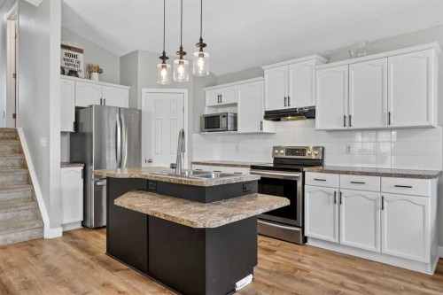 189 Copperfield Gardens Se, Calgary, AB - Indoor Photo Showing Kitchen With Double Sink With Upgraded Kitchen