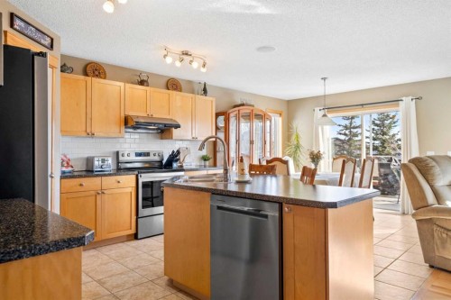 60 Cranfield Place Se, Calgary, AB - Indoor Photo Showing Kitchen With Double Sink